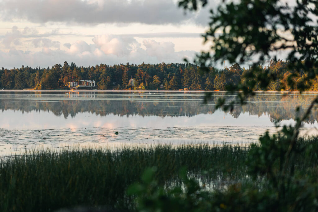 Littoistenjärven rannalta kuvattu näkymä järvelle, vesikasvillisuutta etualalla ja metsäinen ranta sekä taloja taustalla.